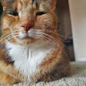 Meet your Posher, Mika